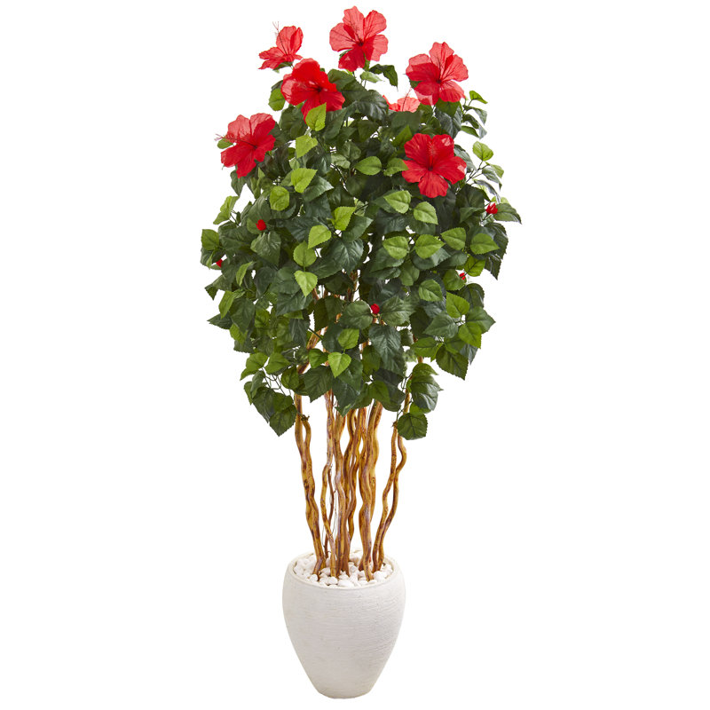 Bayou Breeze Artificial Hibiscus Tree in Pot Wayfair